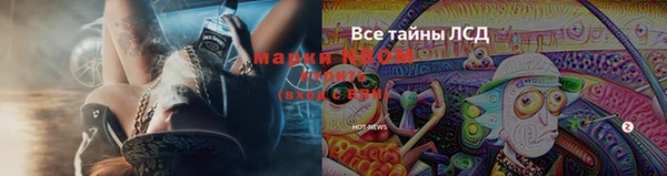 mdpv Касимов