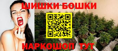 МДПВ Ирбит