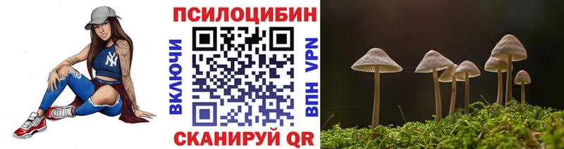Галлюциногенные грибы Cubensis Коркино