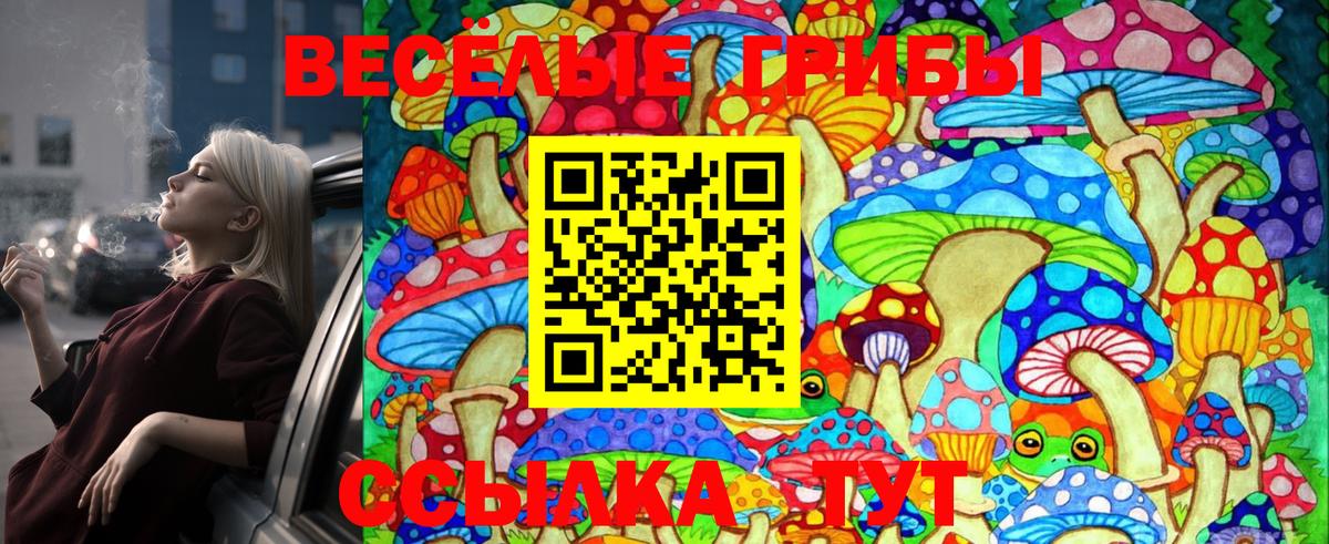 Коркино  Галлюциногенные грибы Magic Shrooms  Вход с VPN  Галлюциногенные грибы Cubensis 